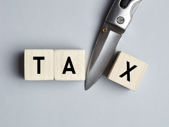 Bexar Property Tax Protest